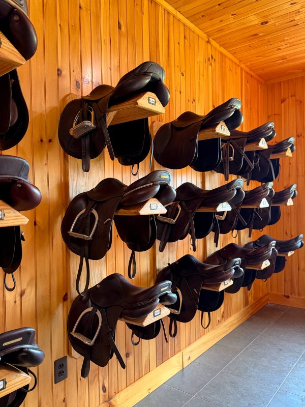 Saddles on named racks along the tack room wall